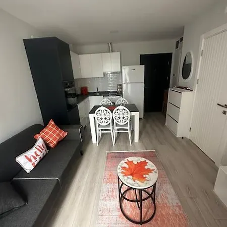 Havalimani Ve Avm Yakini Havuzlu Lux1+1 Ozel Fiyat 公寓 安塔利亚